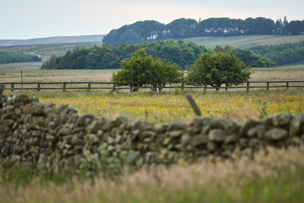 Head of Land and Natural Capital